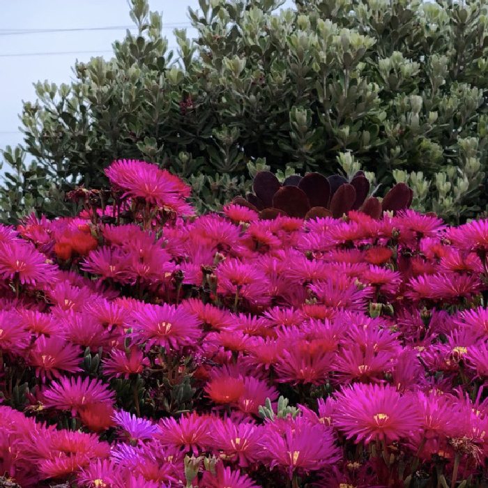 Formal Bridal Makeup